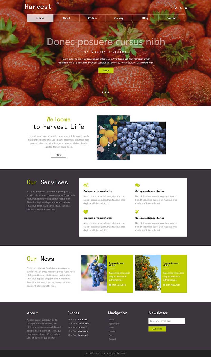 有机蔬菜水果农产品网站html网页模板